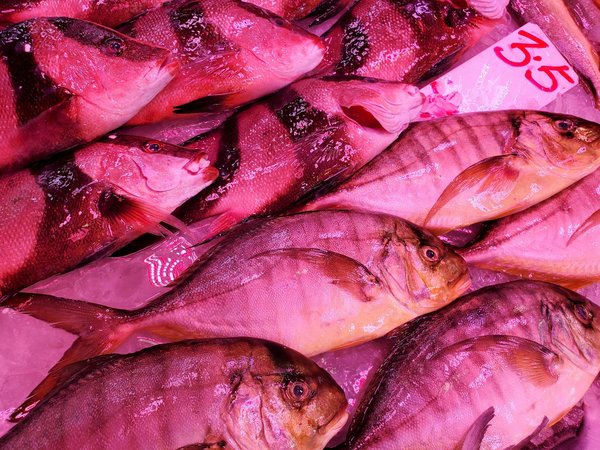 L'impact de l'environnement extérieur sur la santé émotionnelle